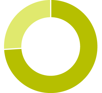 Pie chart - 74%